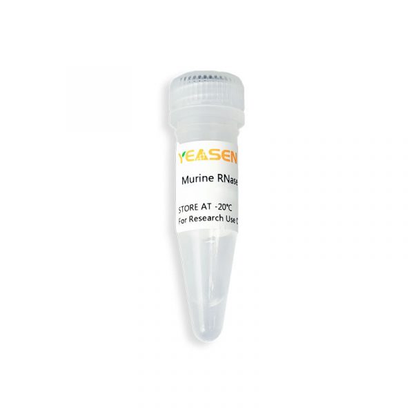 Murine RNase inhibitor (40 U/μ L) 2KU